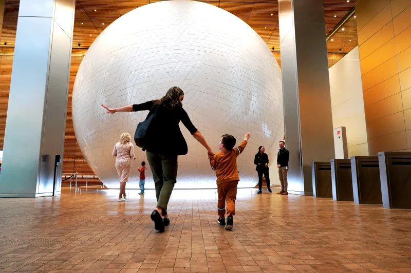 Universal Sphere, image 9