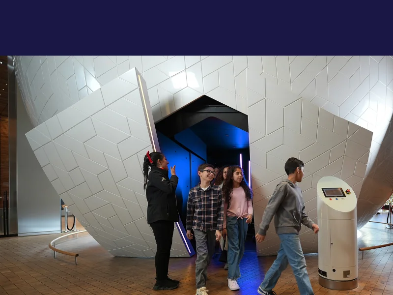 Universal Sphere, image 5